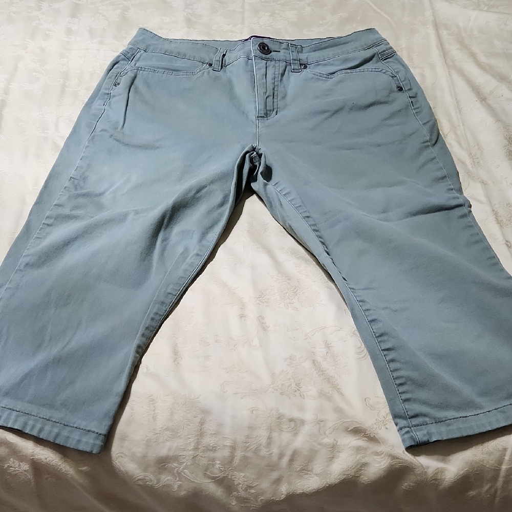 Gloria Vanderbilt Light Green Pants